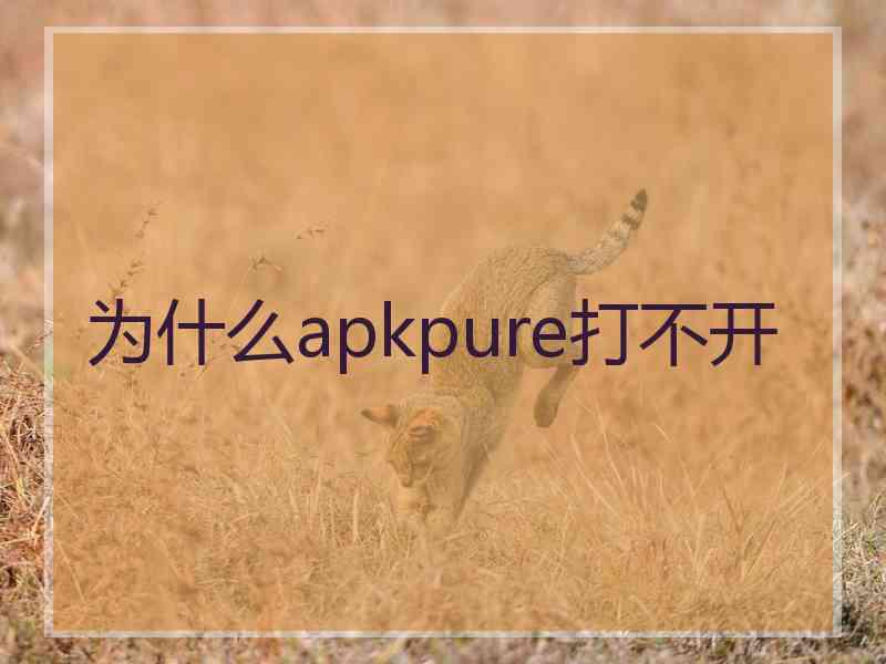 为什么apkpure打不开