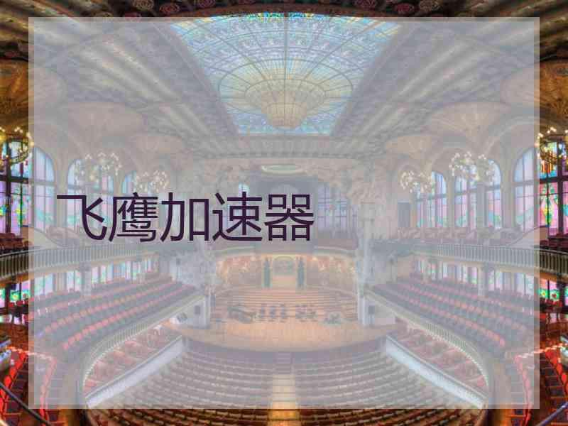 飞鹰加速器