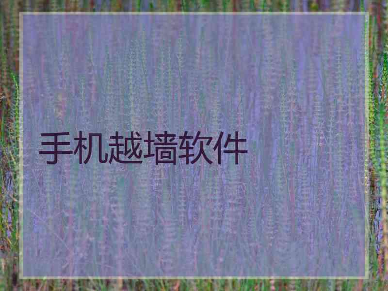 手机越墙软件