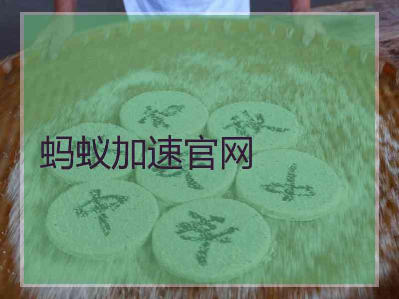 蚂蚁加速官网