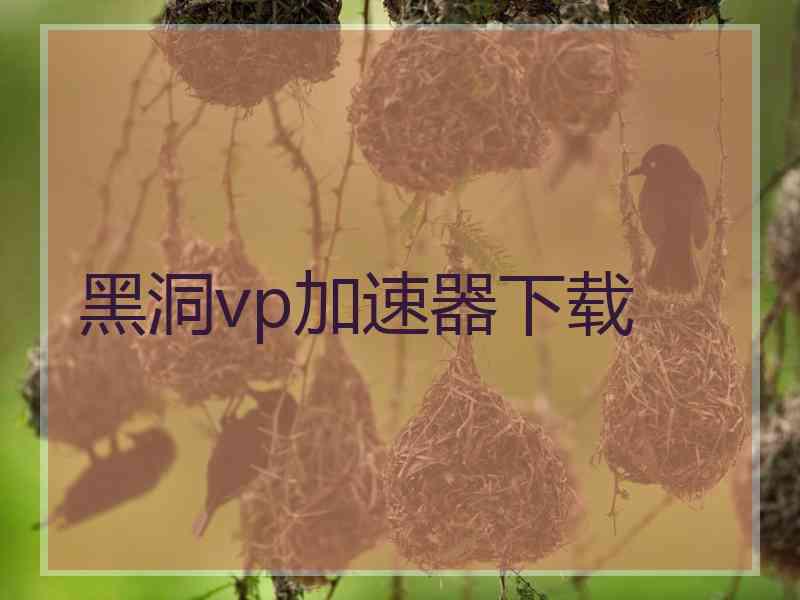 黑洞vp加速器下载