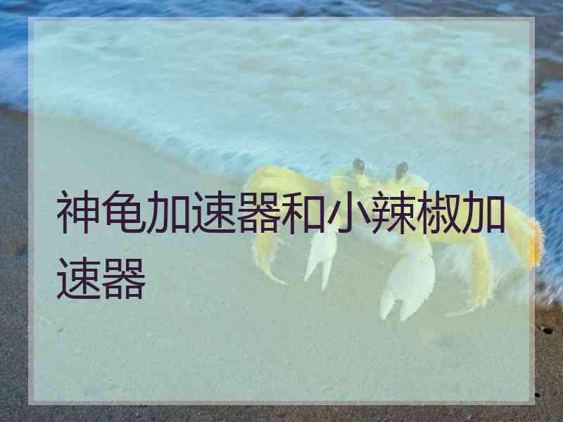 神龟加速器和小辣椒加速器