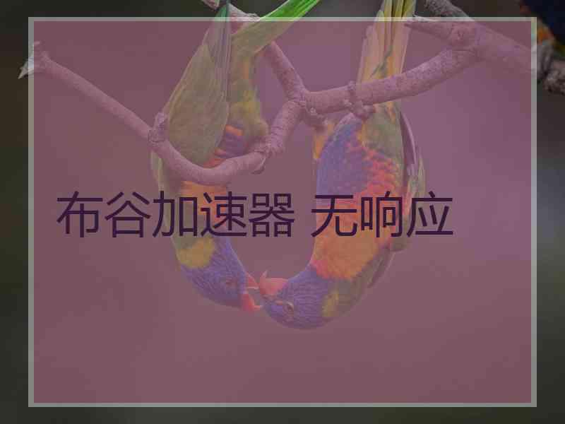 布谷加速器 无响应
