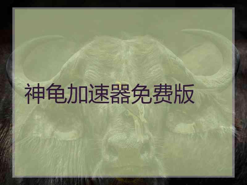 神龟加速器免费版