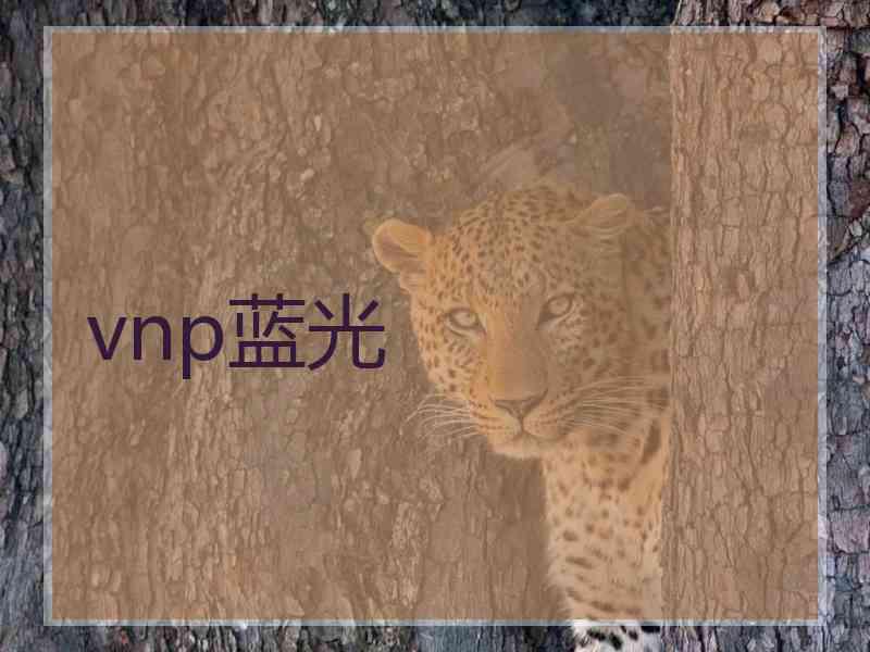 vnp蓝光