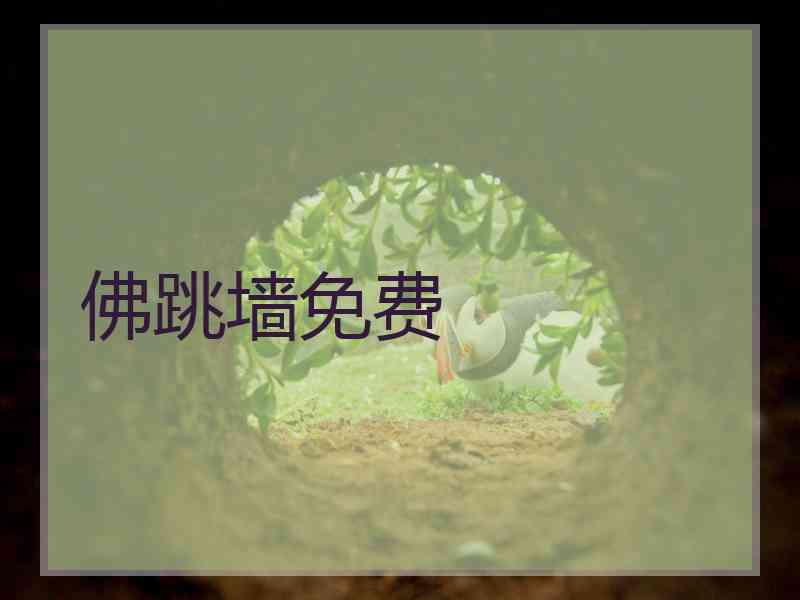 佛跳墙免费