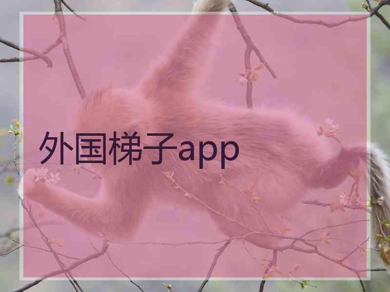 外国梯子app