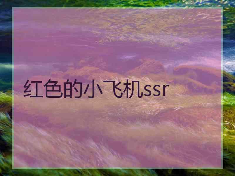 红色的小飞机ssr