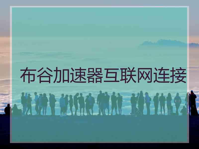 布谷加速器互联网连接