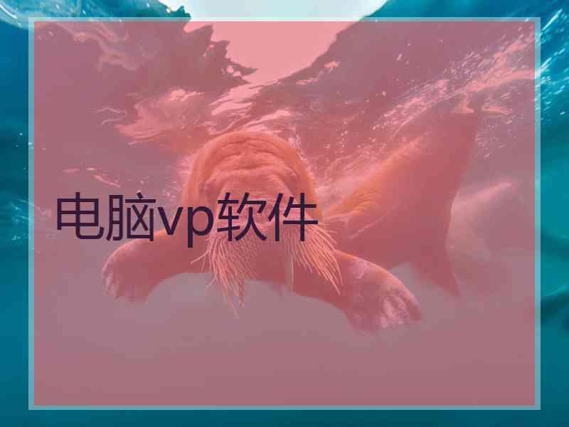 电脑vp软件