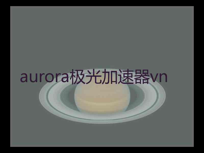 aurora极光加速器vn