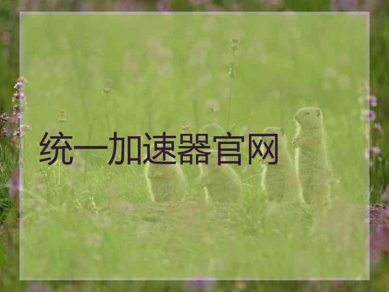统一加速器官网