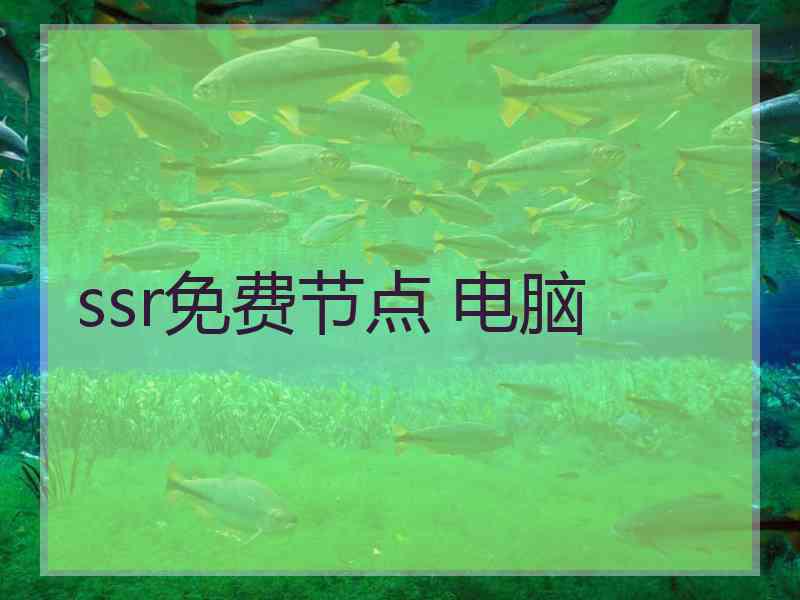 ssr免费节点 电脑
