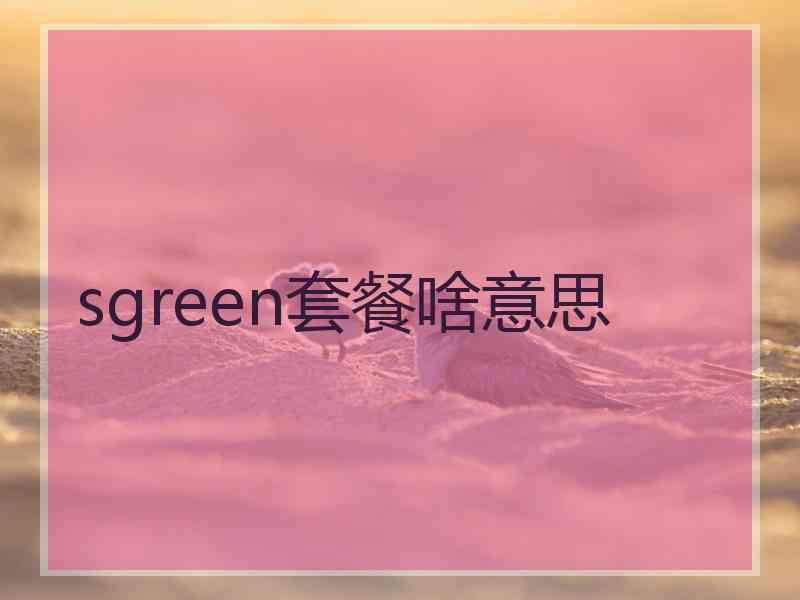 sgreen套餐啥意思
