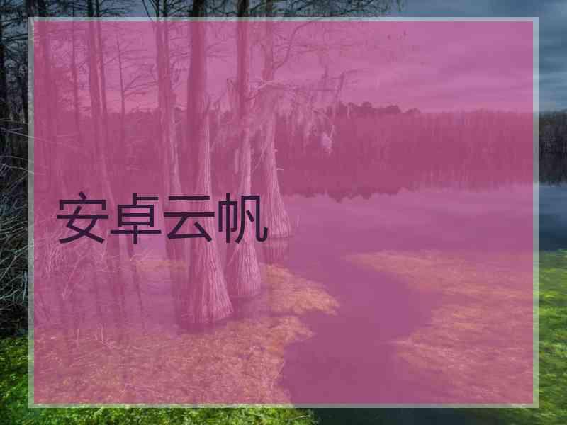 安卓云帆