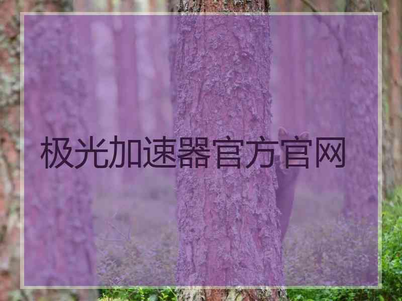 极光加速器官方官网