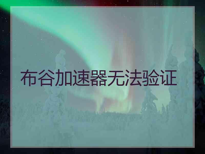 布谷加速器无法验证