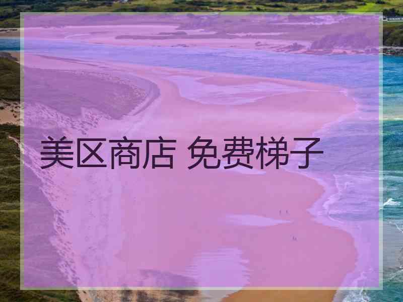 美区商店 免费梯子
