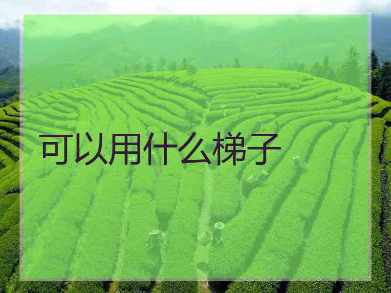 可以用什么梯子