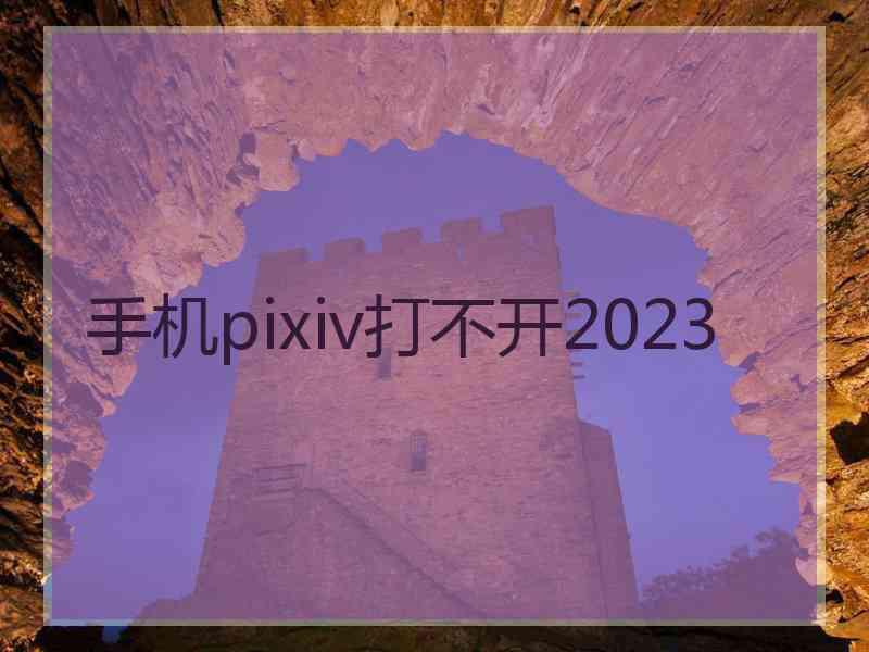手机pixiv打不开2023