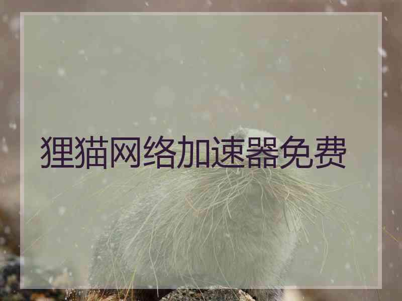 狸猫网络加速器免费