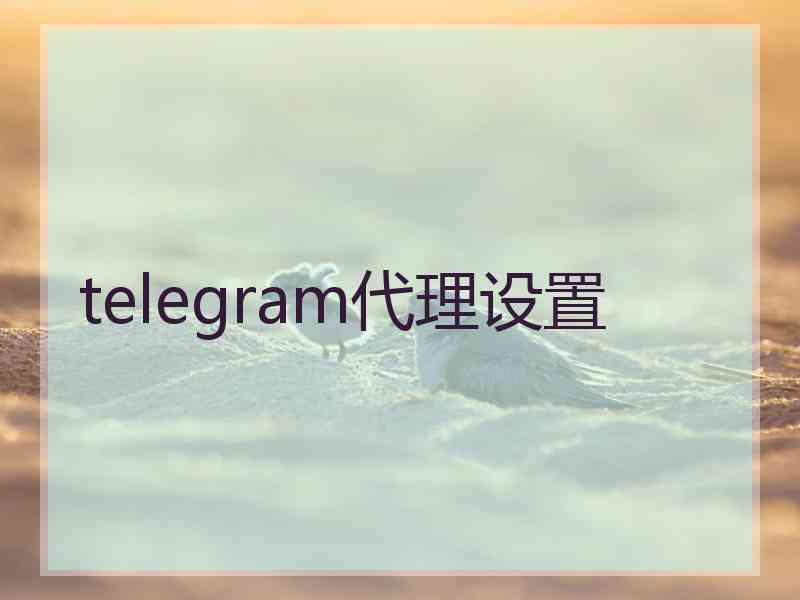 telegram代理设置