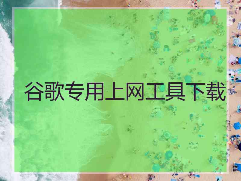 谷歌专用上网工具下载
