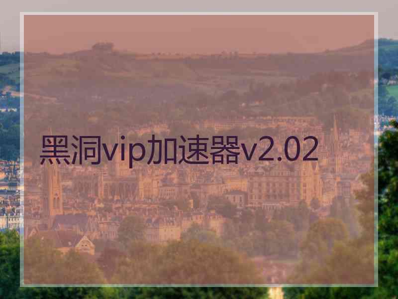 黑洞vip加速器v2.02