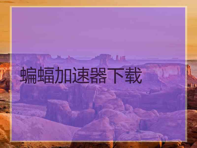 蝙蝠加速器下载