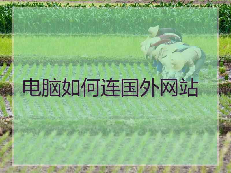 电脑如何连国外网站