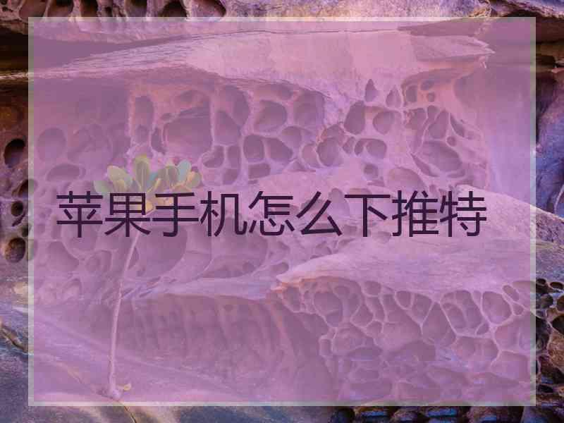 苹果手机怎么下推特