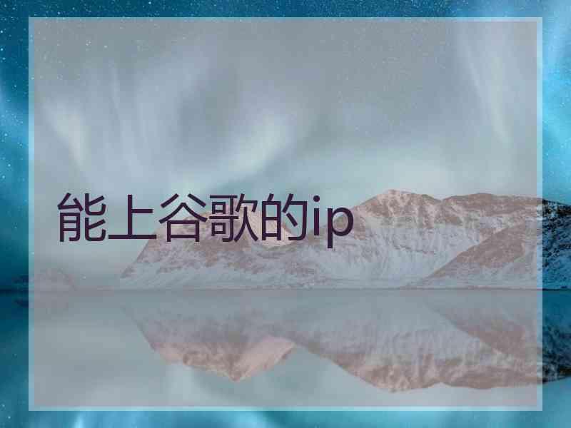 能上谷歌的ip