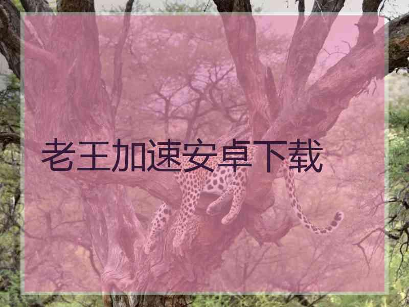 老王加速安卓下载