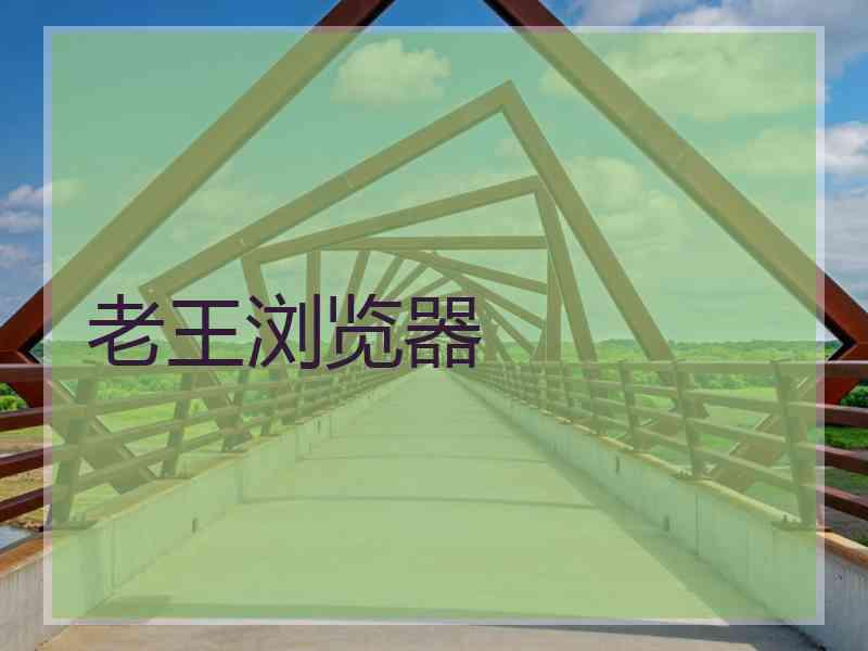 老王浏览器