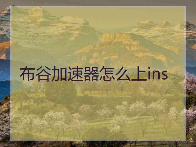 布谷加速器怎么上ins