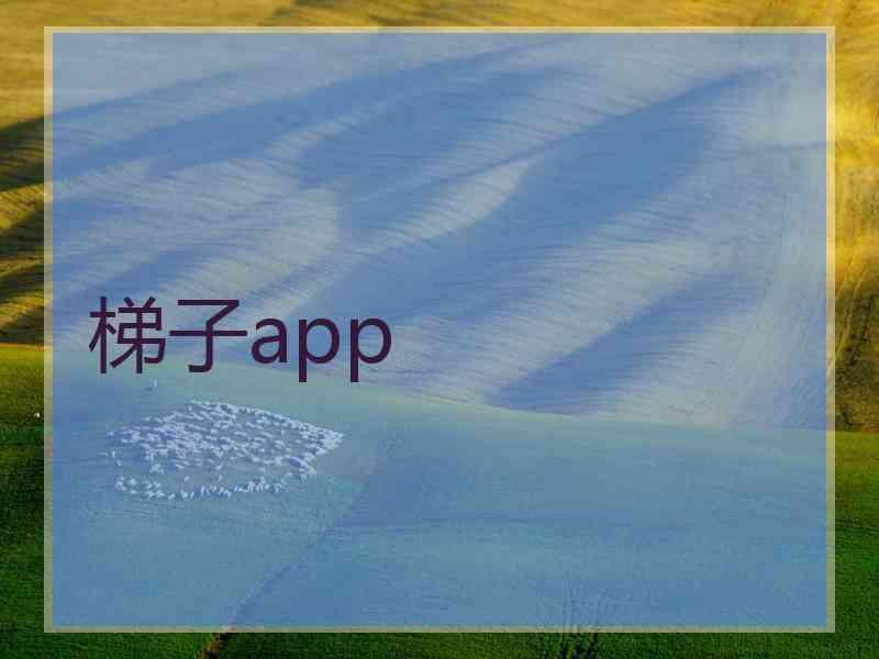 梯子app