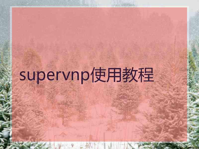 supervnp使用教程