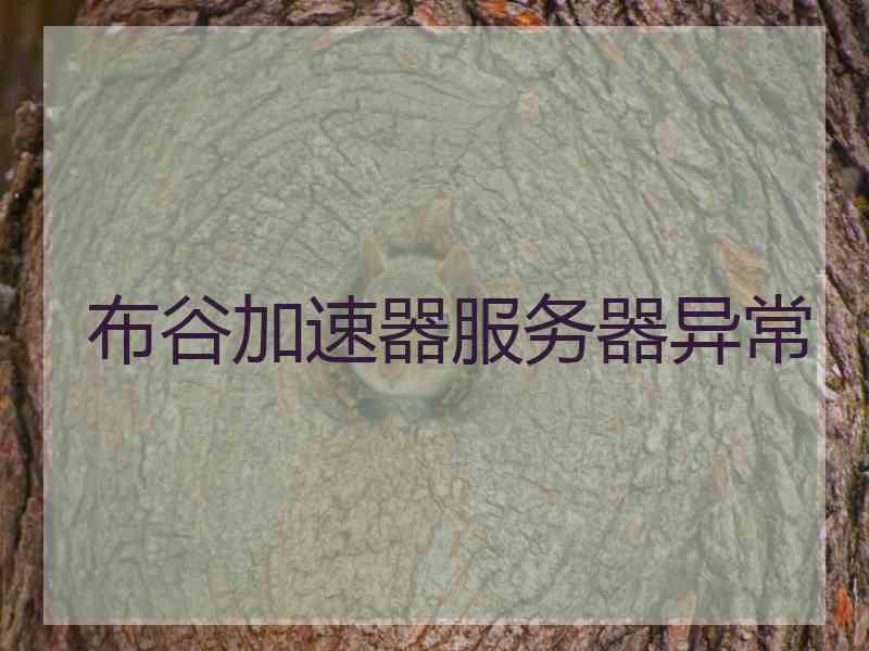 布谷加速器服务器异常