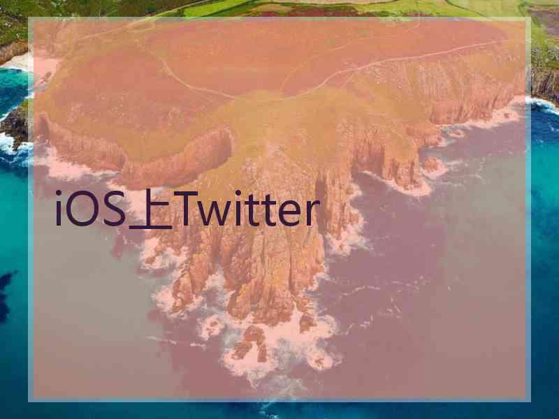 iOS上Twitter