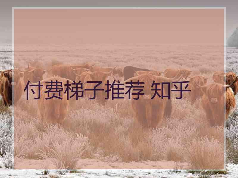付费梯子推荐 知乎