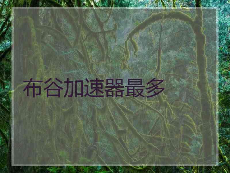 布谷加速器最多