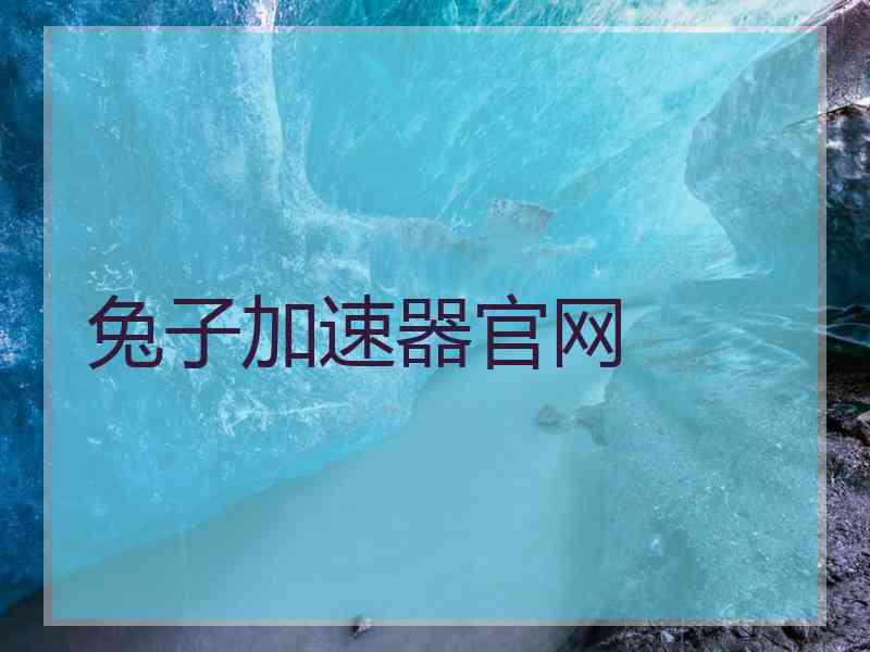 兔子加速器官网