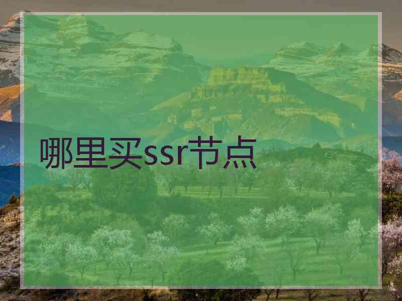 哪里买ssr节点