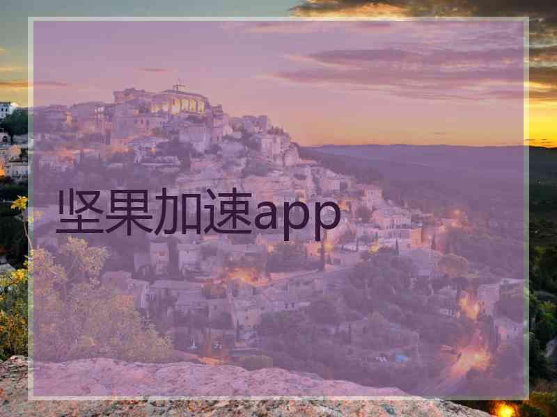 坚果加速app