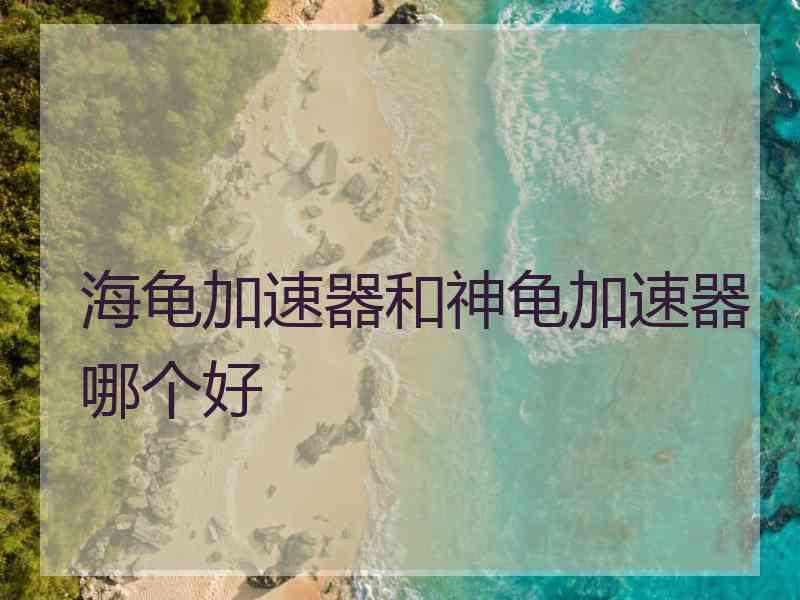 海龟加速器和神龟加速器哪个好