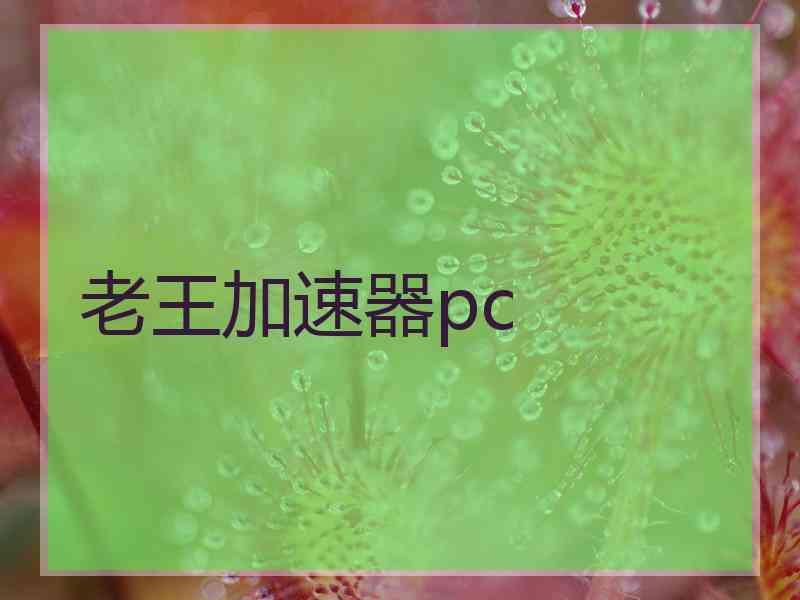 老王加速器pc