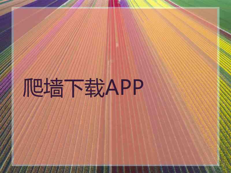 爬墙下载APP