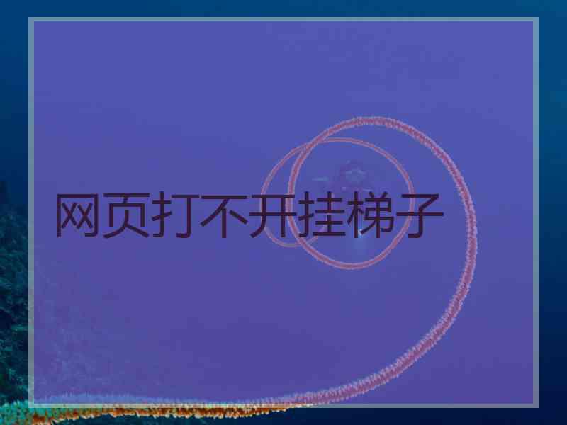 网页打不开挂梯子