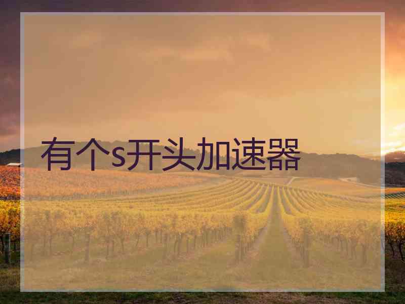 有个s开头加速器
