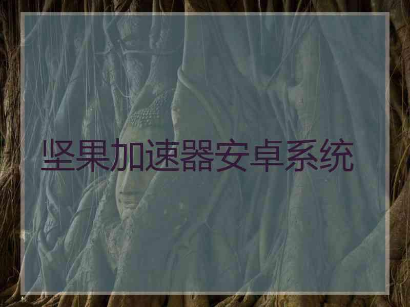 坚果加速器安卓系统
